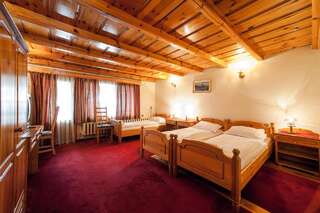 Отель Family Hotel Dzhangal Банско Двухместный номер с 1 кроватью или 2 отдельными кроватями-2